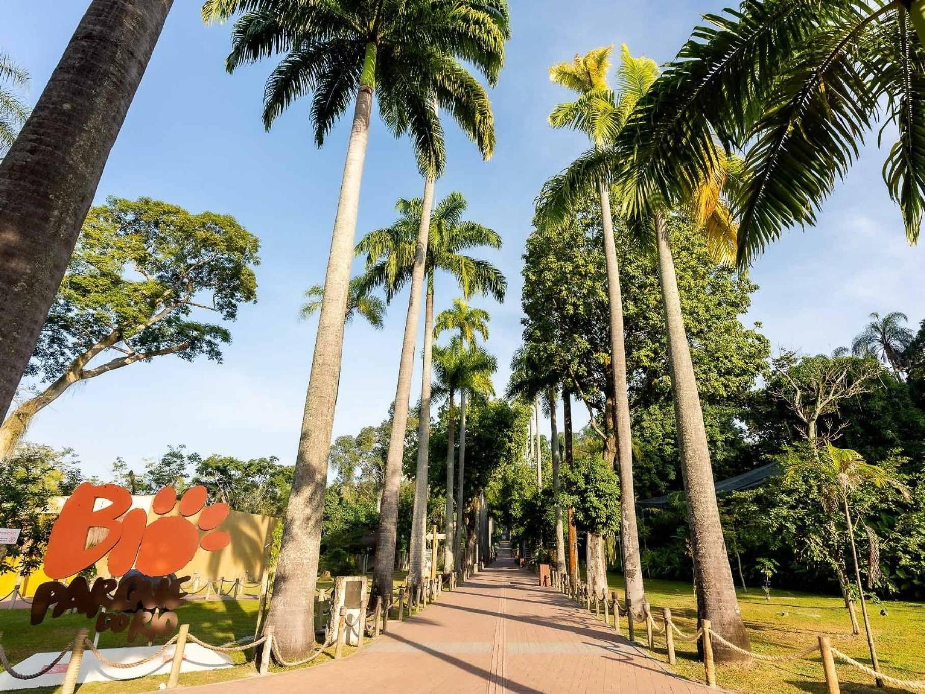 Apartment Temporada Prime - + 1 Ticket Ou Transfer Rio de Janeiro